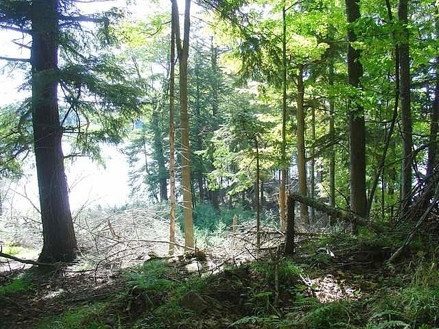 On Channel Road Unit Lot 7  