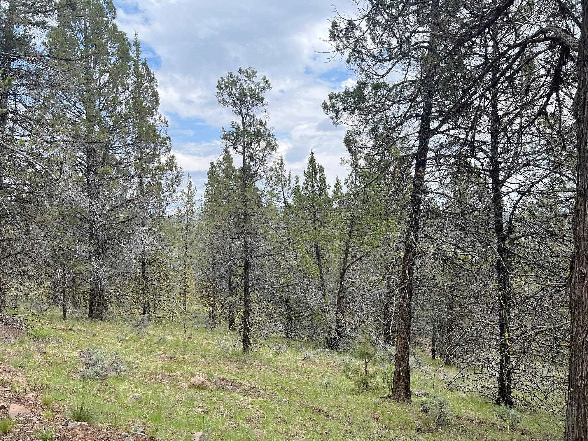 38 Acres Overland Trail (Lot 2)