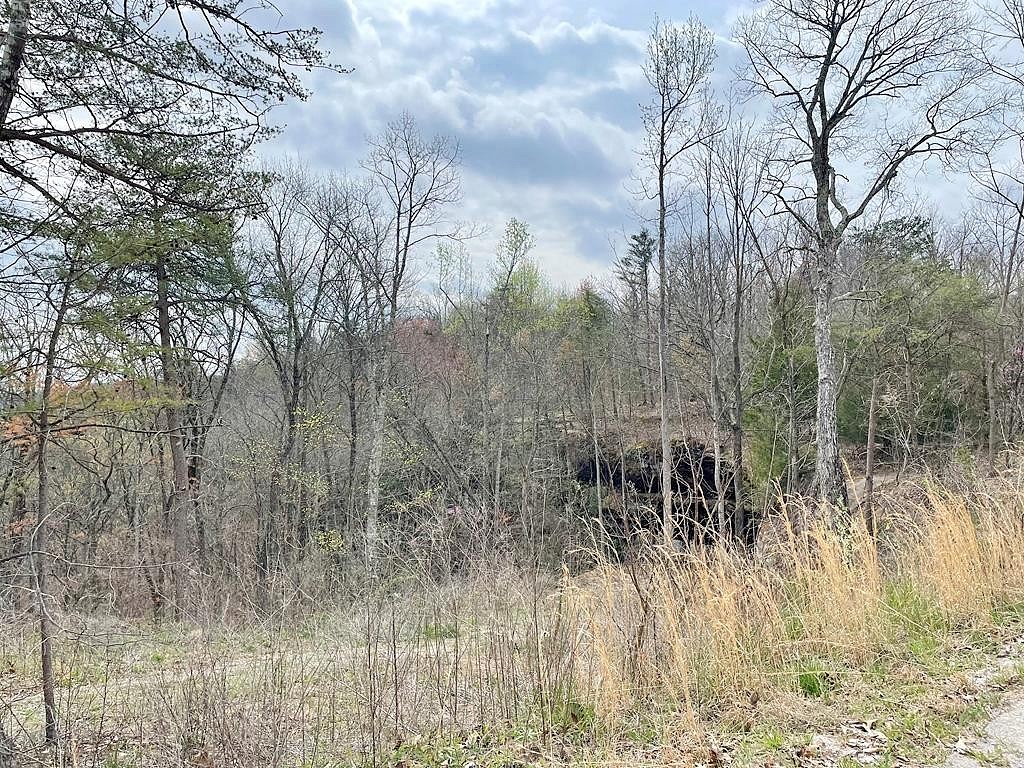 236 Buckeye Ln  