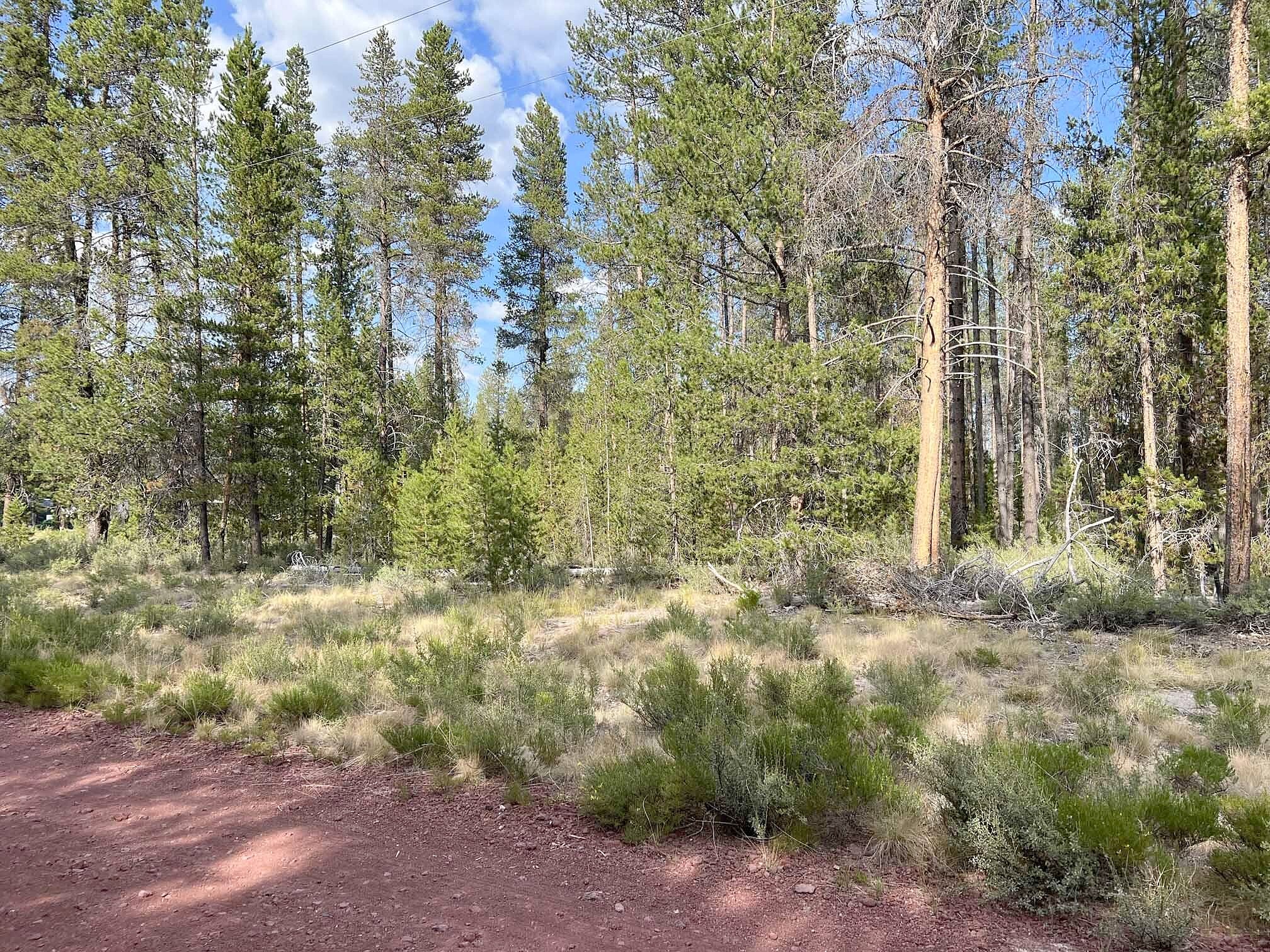 Cloudcap Drive Unit Lot 6  
