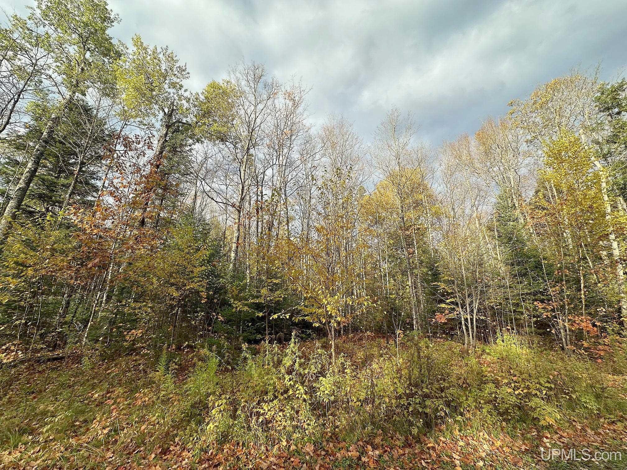 Lot 7 W Tamarack Lk Rd  