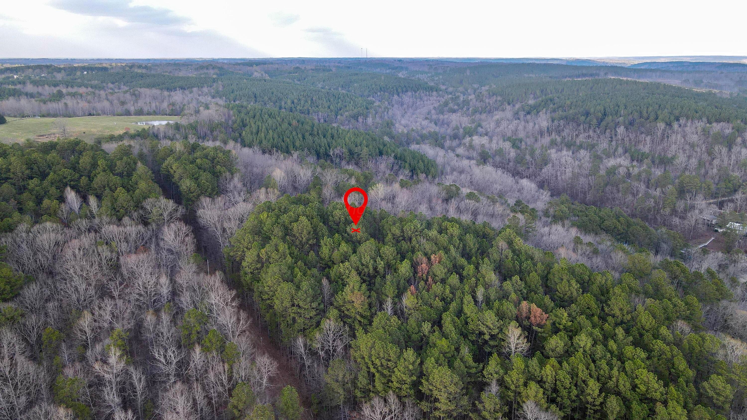 21382 COUNTY RD 4004  