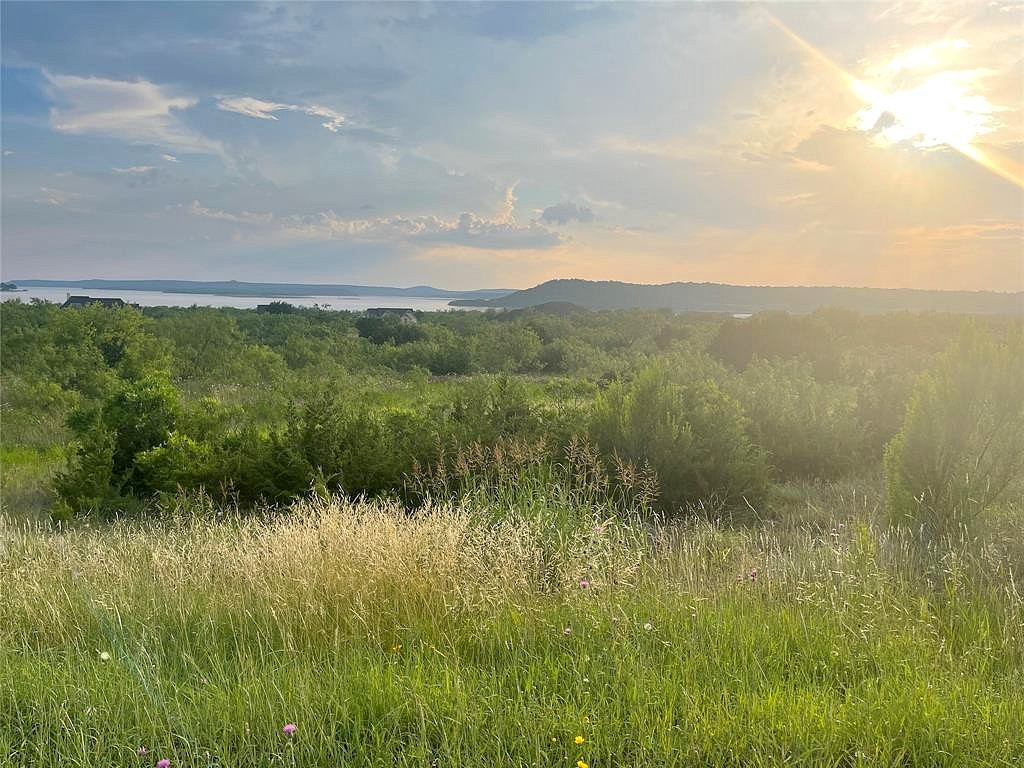 LT1060 Cinnamon Teal