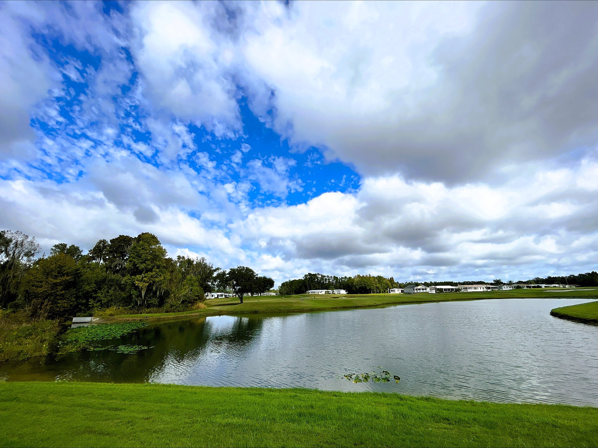 2955 Dollar Bonnet Ln Unit 978  