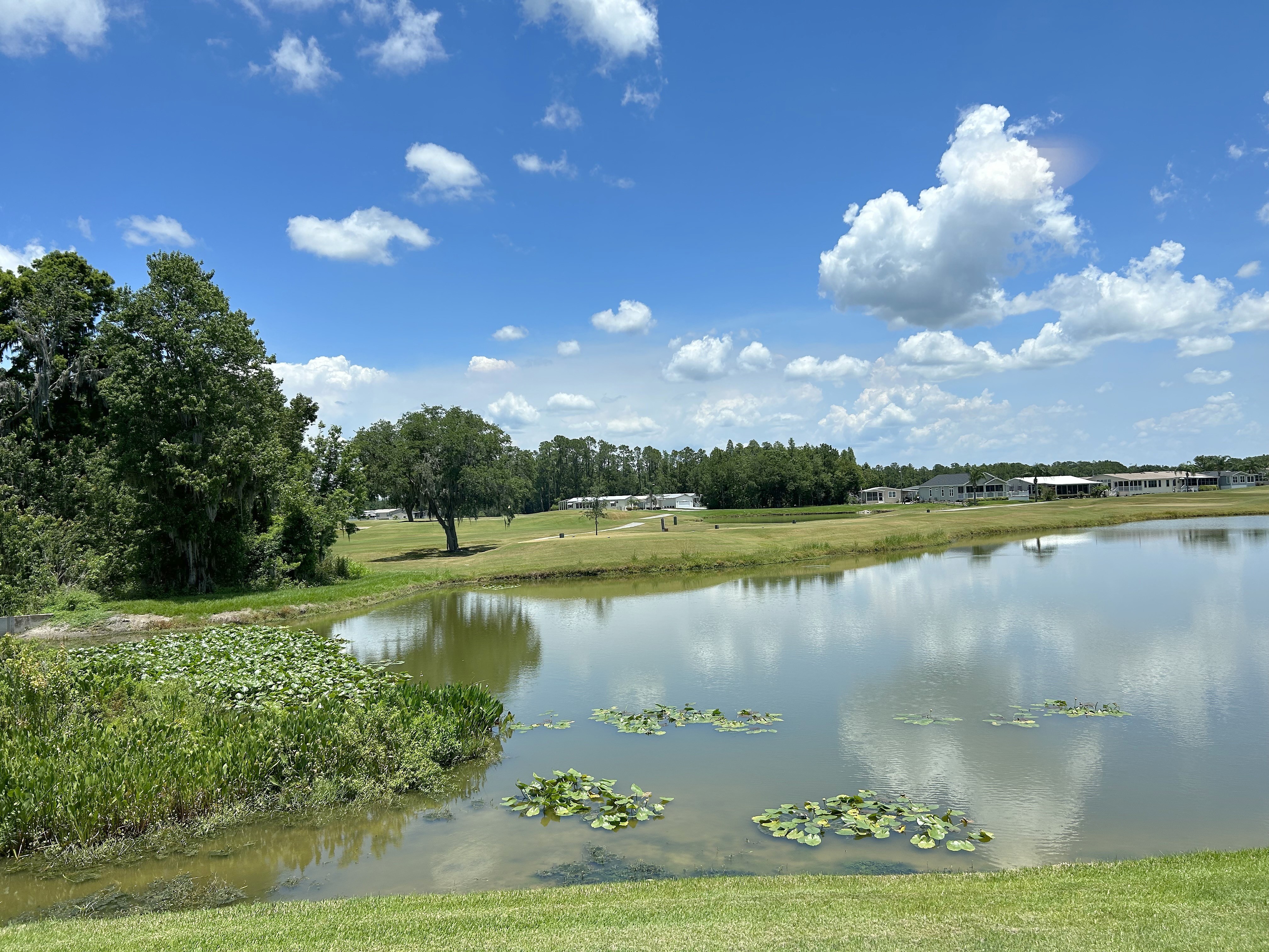 2959 Dollar Bonnet Ln Unit 980  