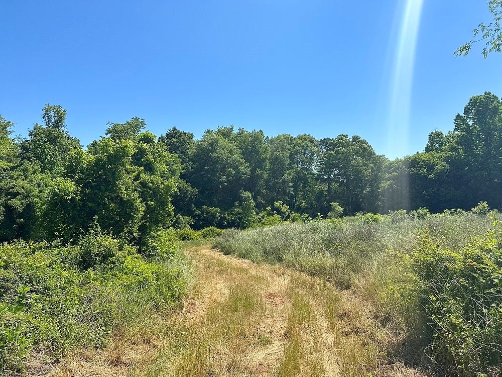 Lot 6 Carter Fish Pond Rd  