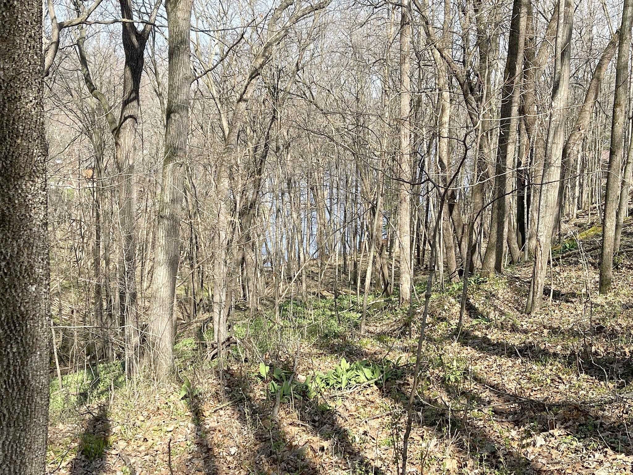 L32 Goldfinch W Redstone  