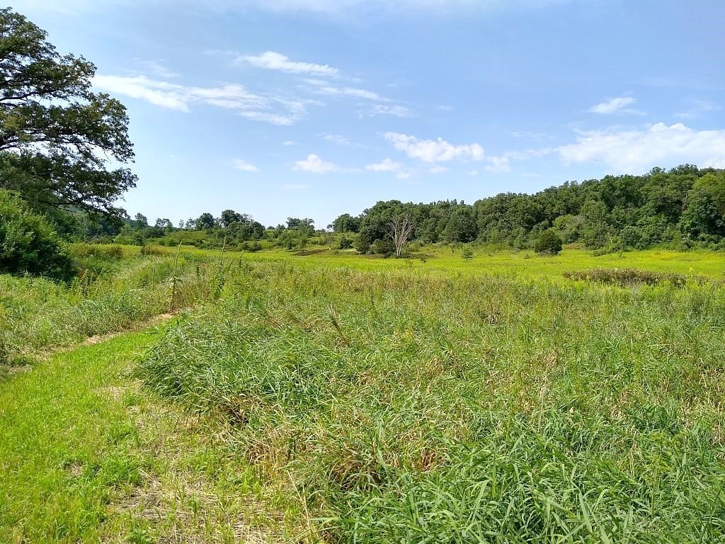 40 Acres Esch Rd  