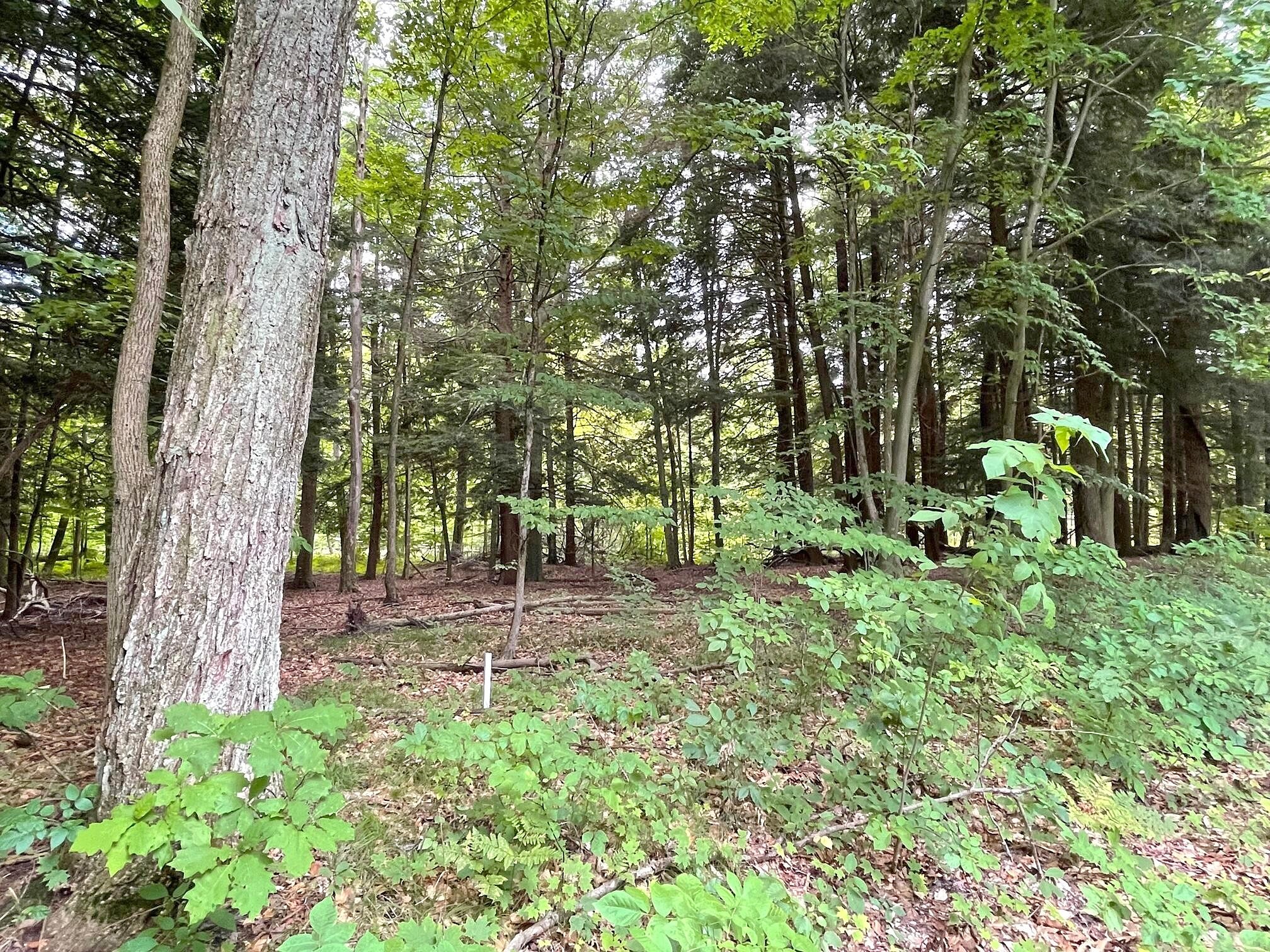 V/L Forest Lake Drive Unit Lot 34/35  