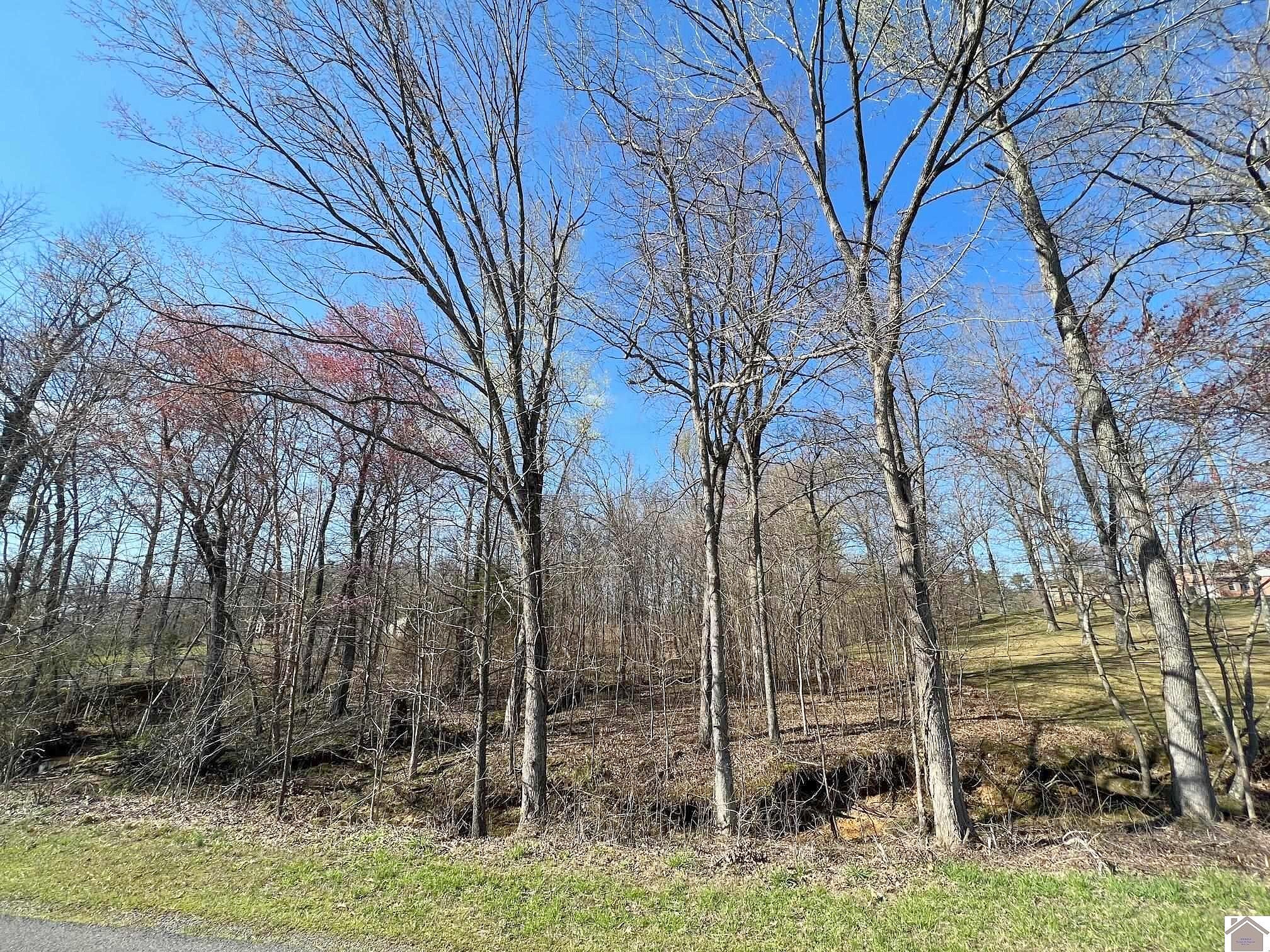 3 8 Acres Wrather Rd Unit Tracts 1H 1J  