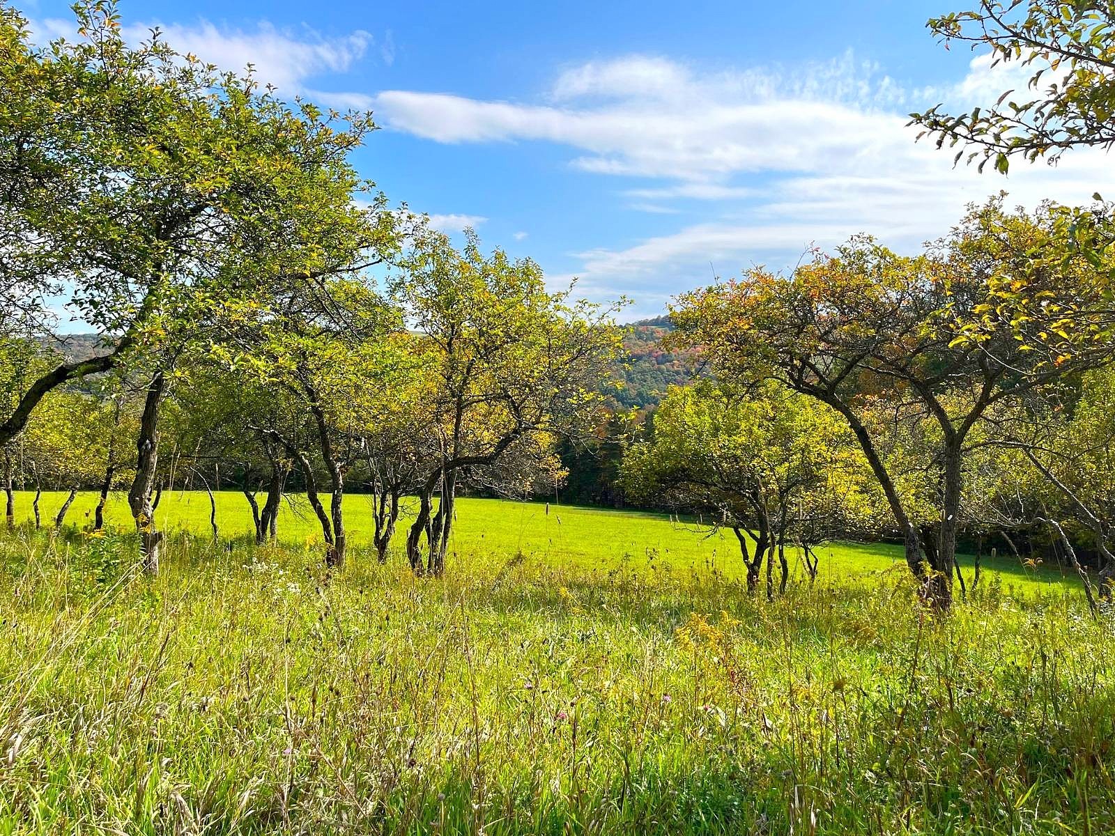 VL Sinclair Rd Unit 3  