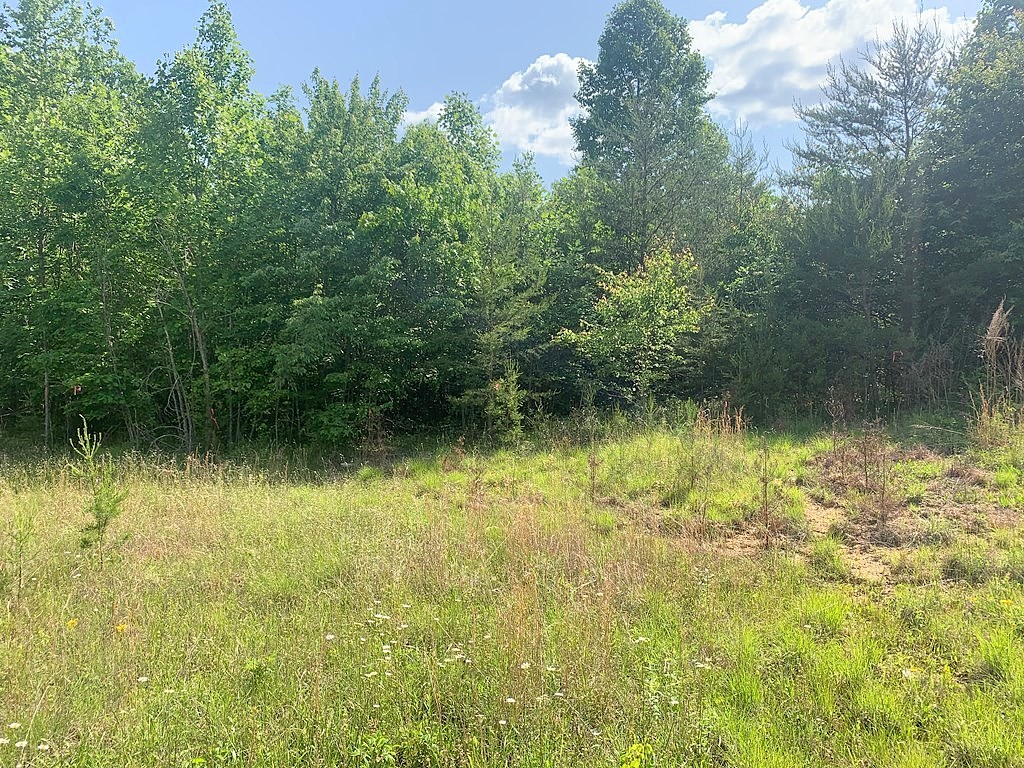 6 71 Ac Horseshoe Dr  