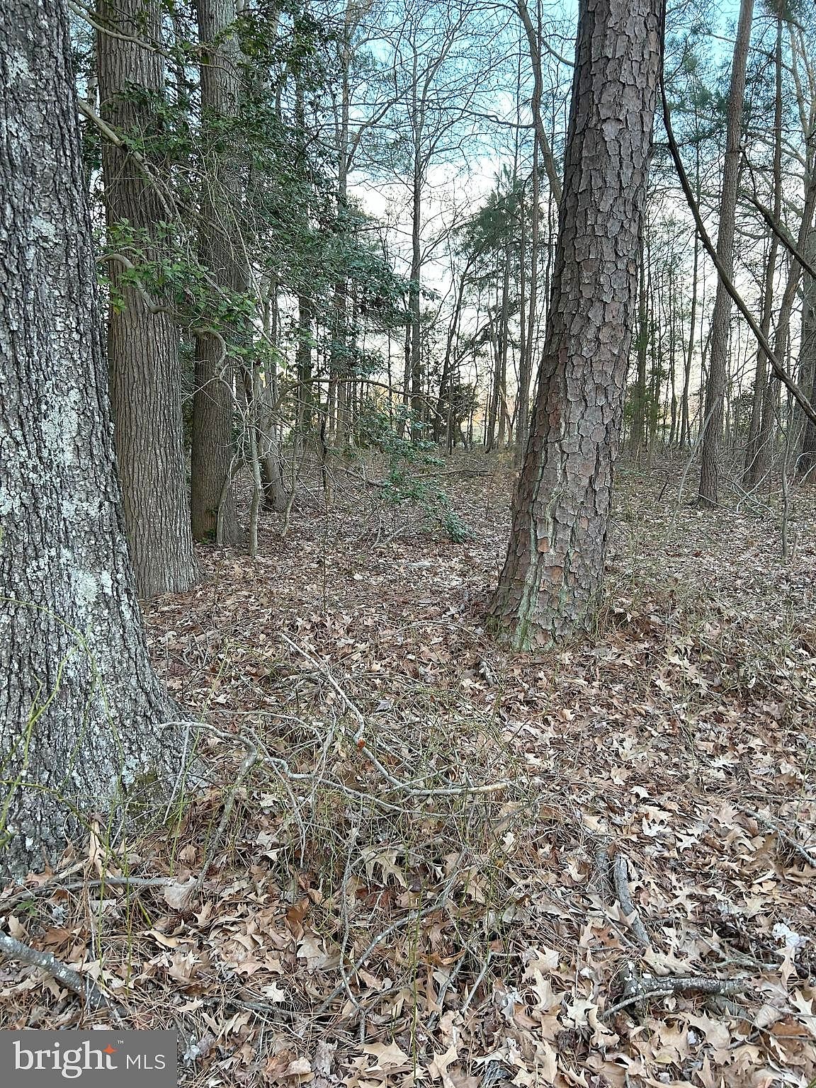 0 Bluebird Rd  