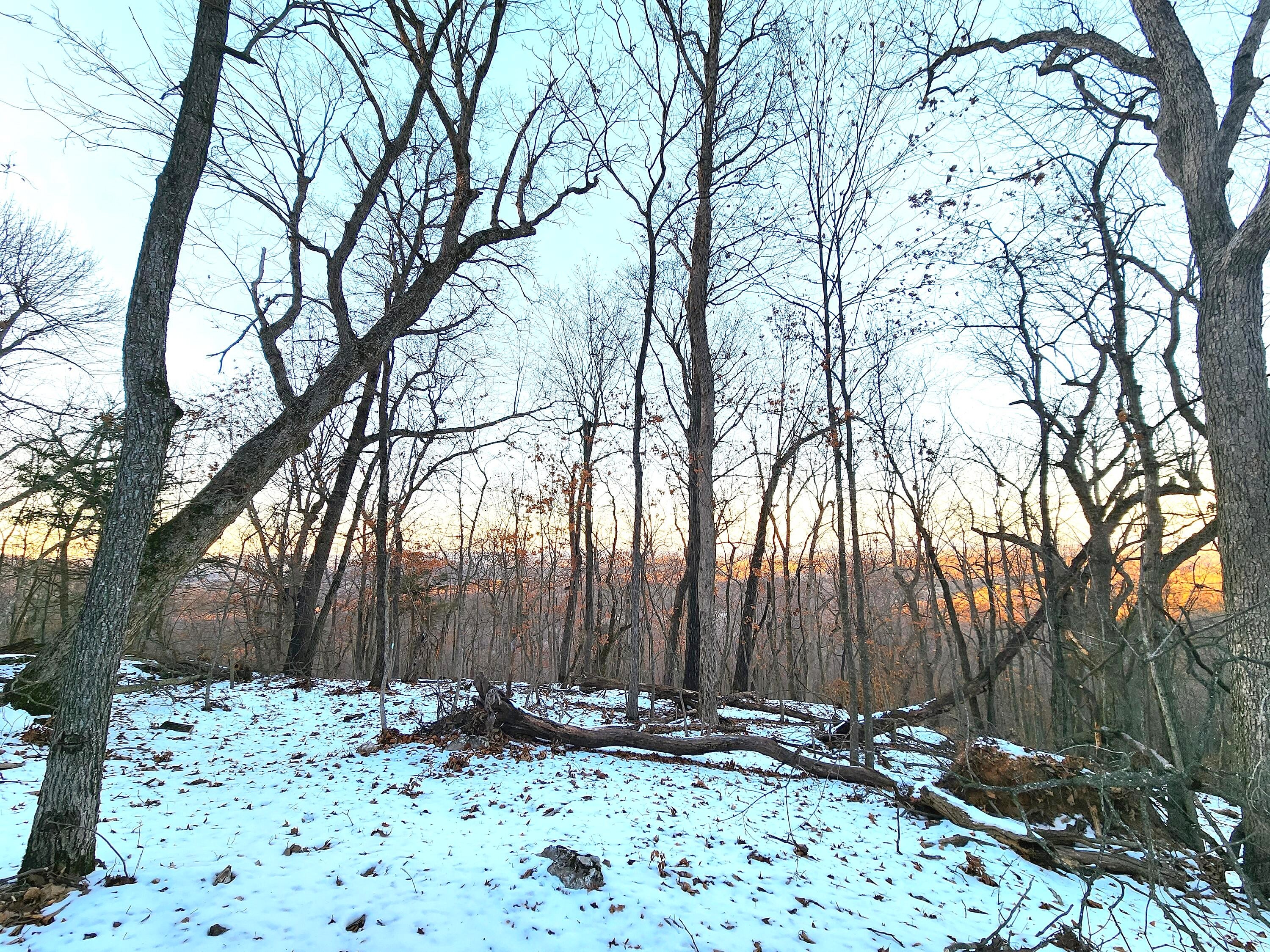 2100000100 S Hwy 221  