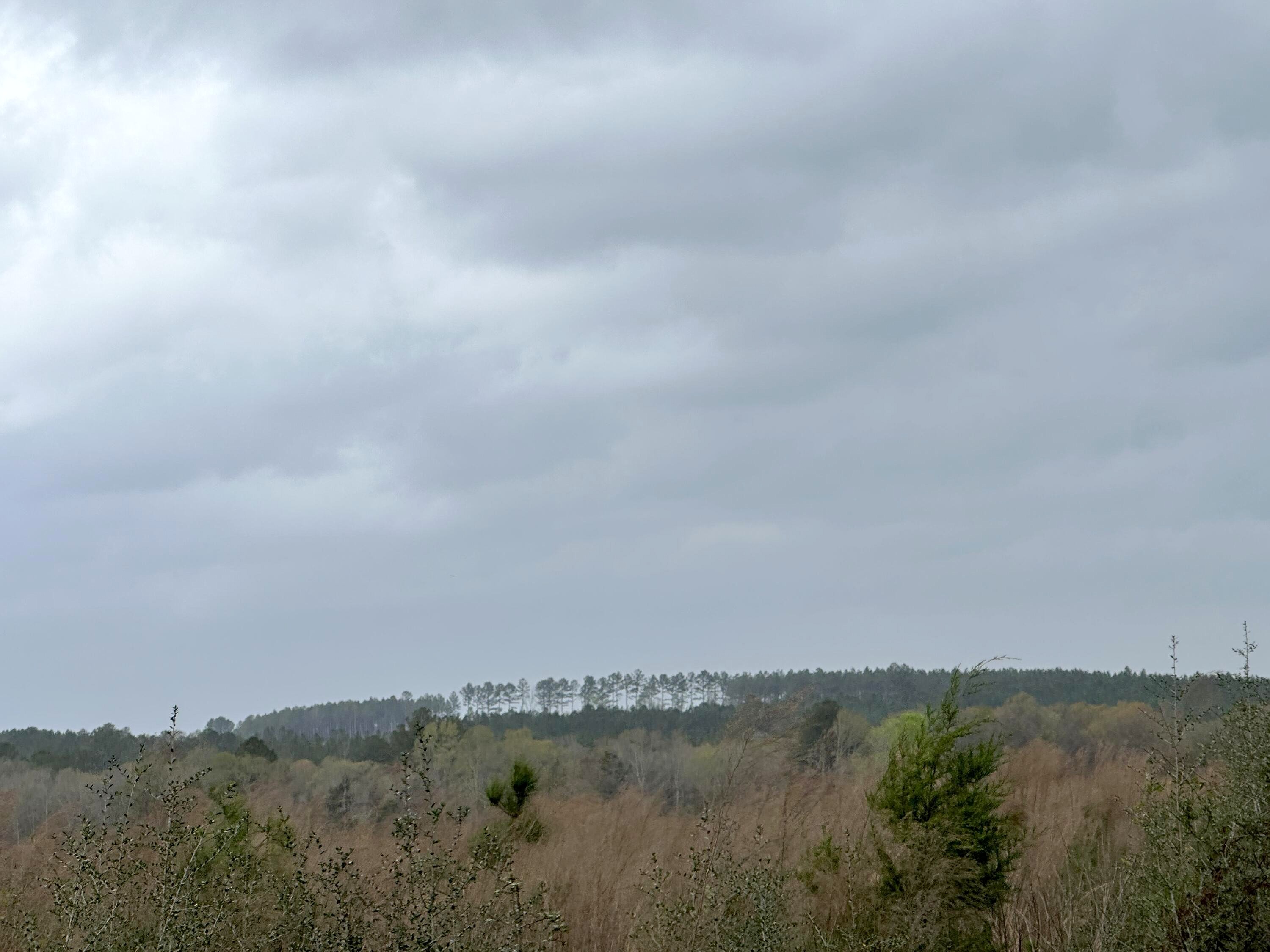 Tract#6201 8 Mile Cemetery Road Unit 7 8 9  