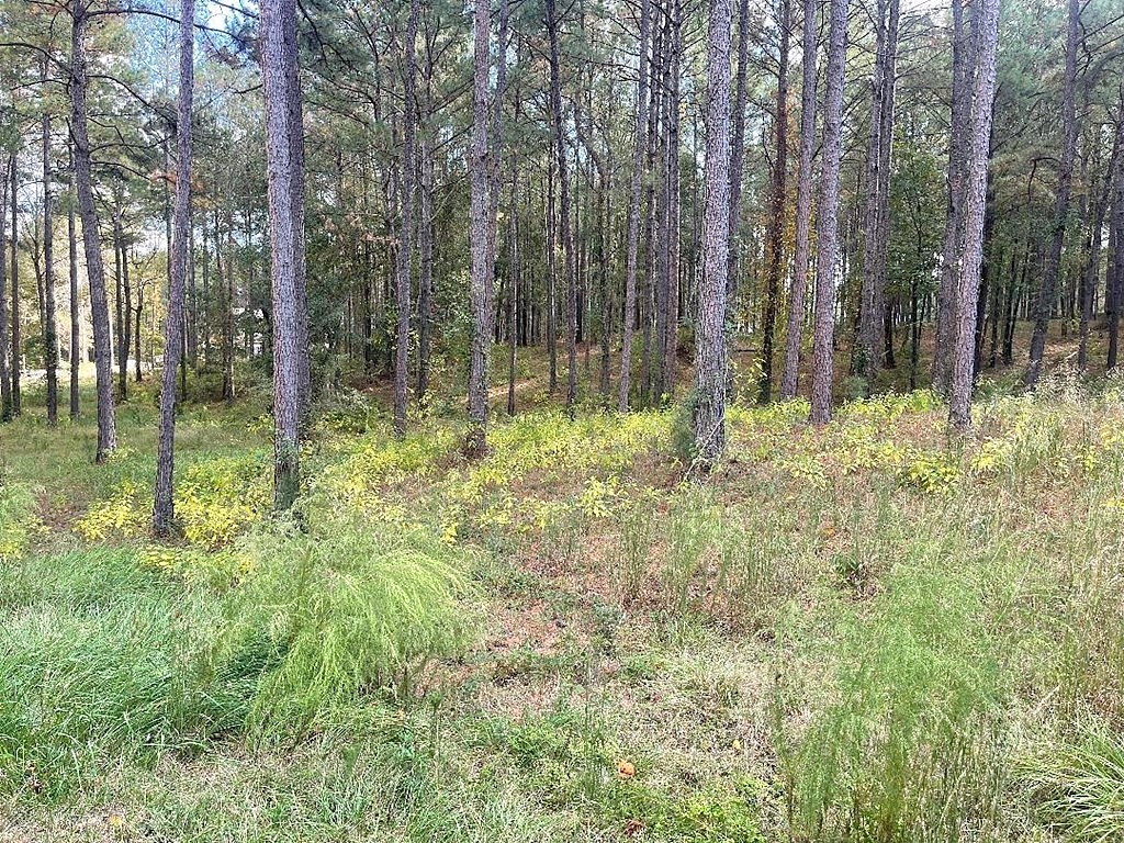 Lot Unit 9 Phase I