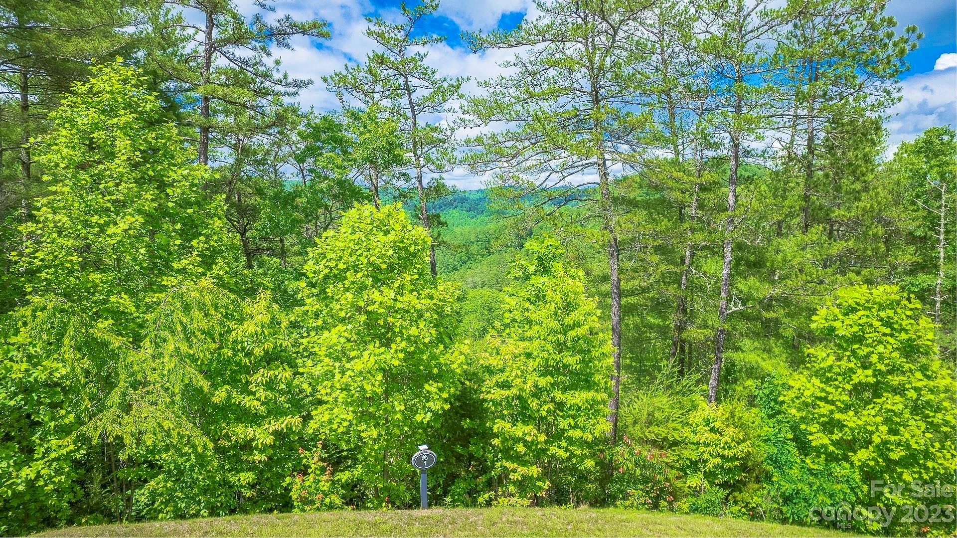 Lot 1 Reynolds Pkwy  