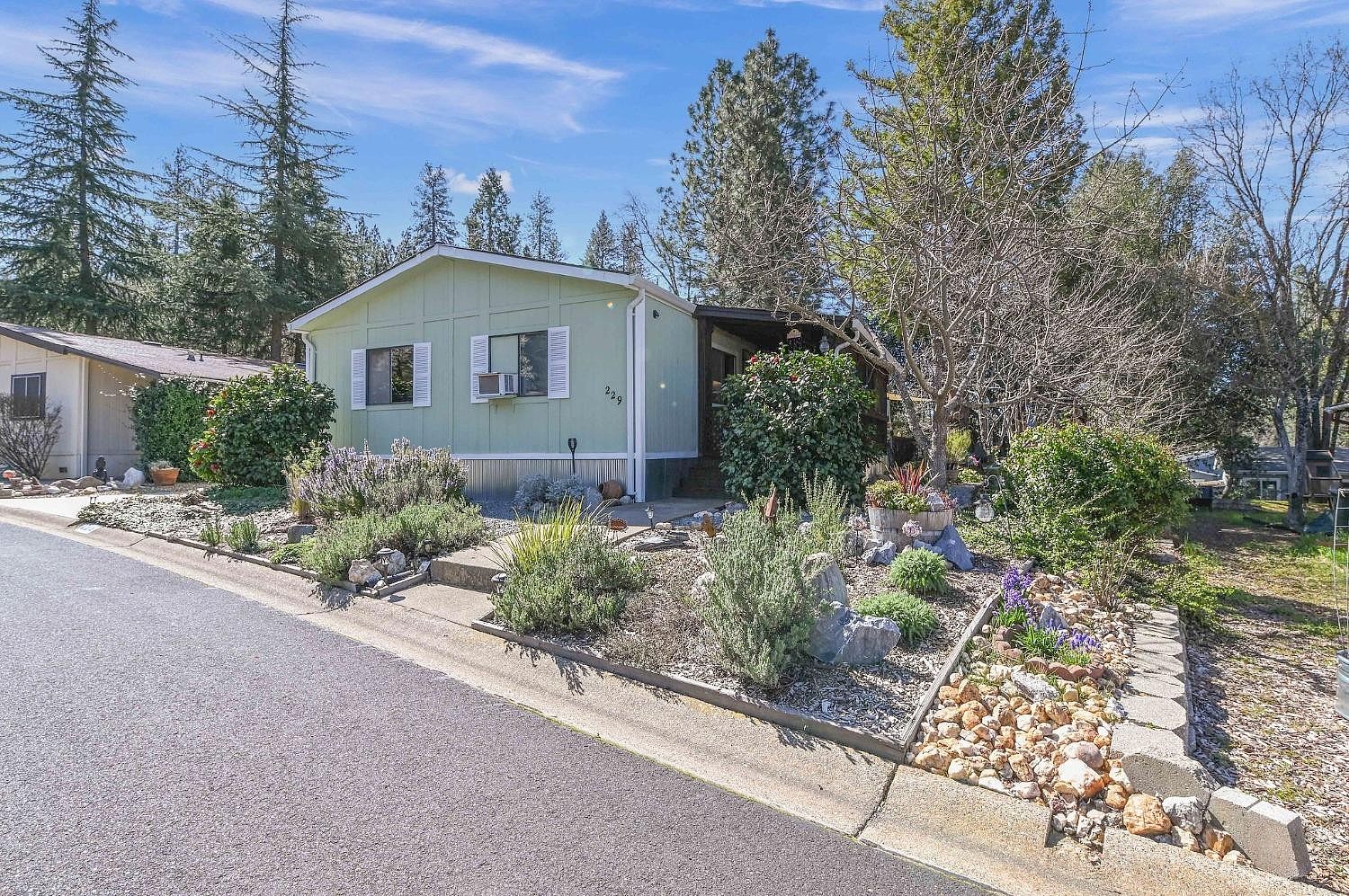 229 Rattlesnake Dick