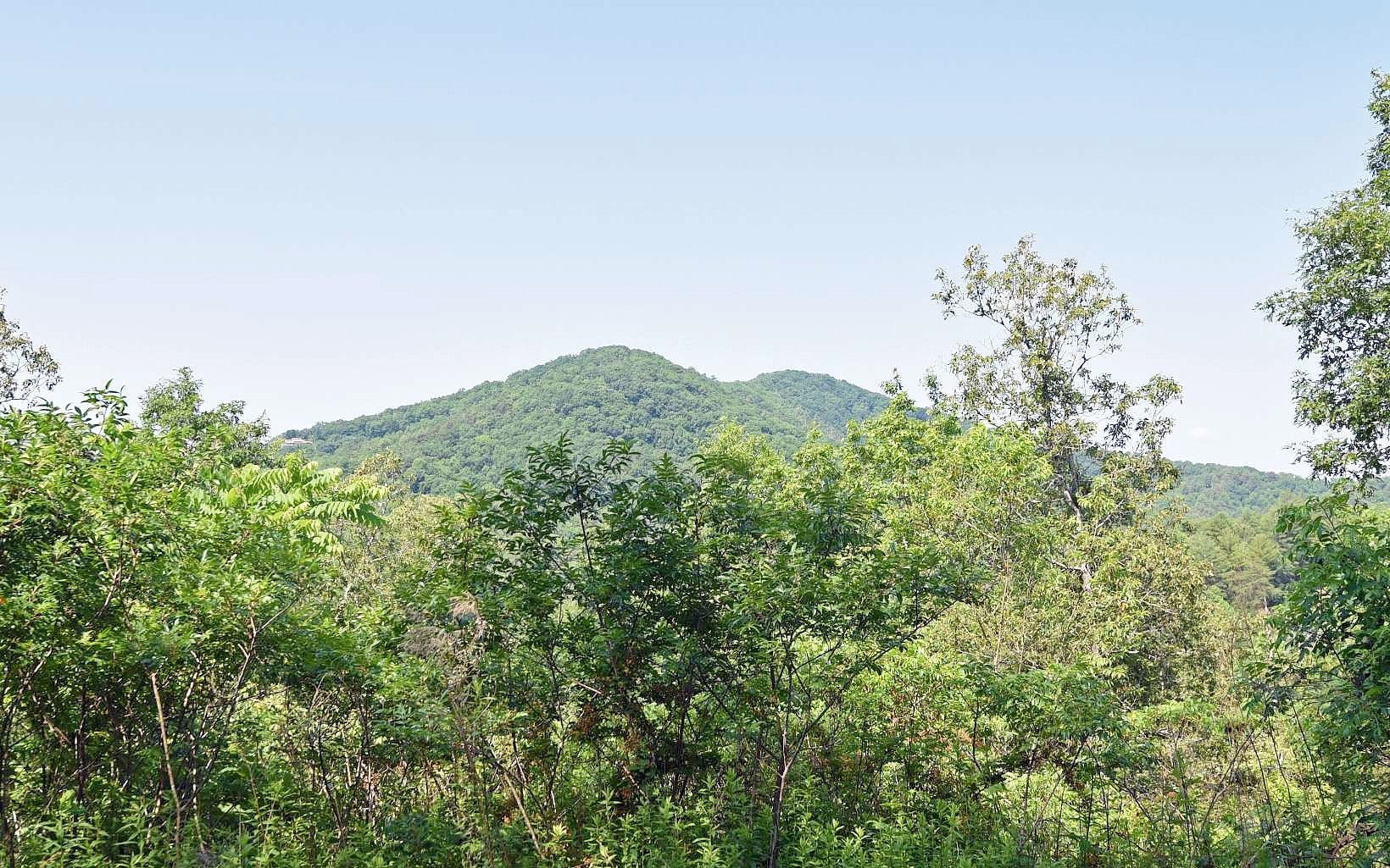 LOT54 Brasstown Vw Rd  