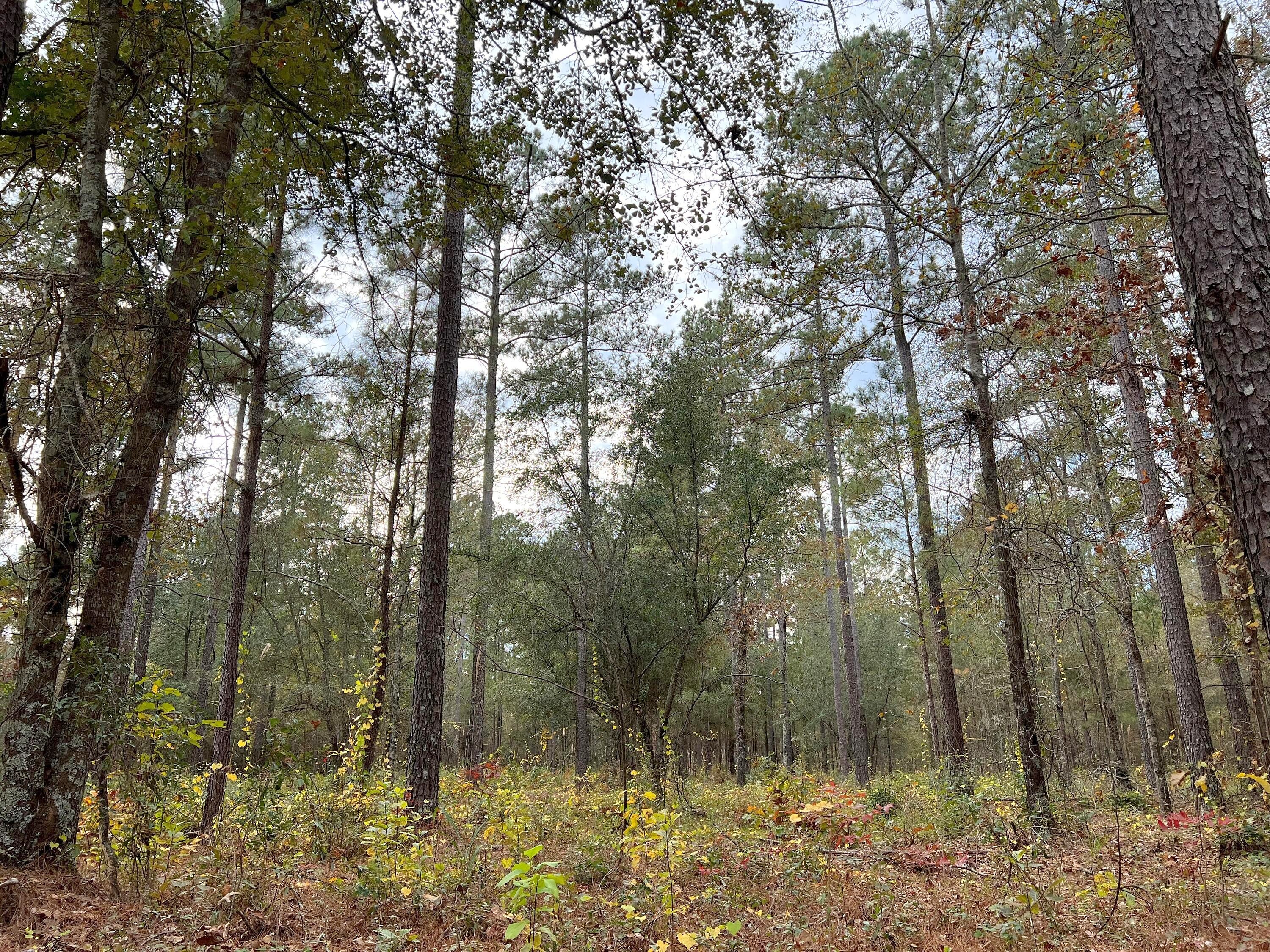 0-A2 Wagener Rd Unit A2  