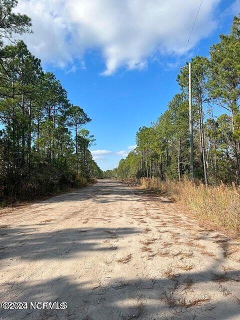 54 Acres Buck Shot Rd  