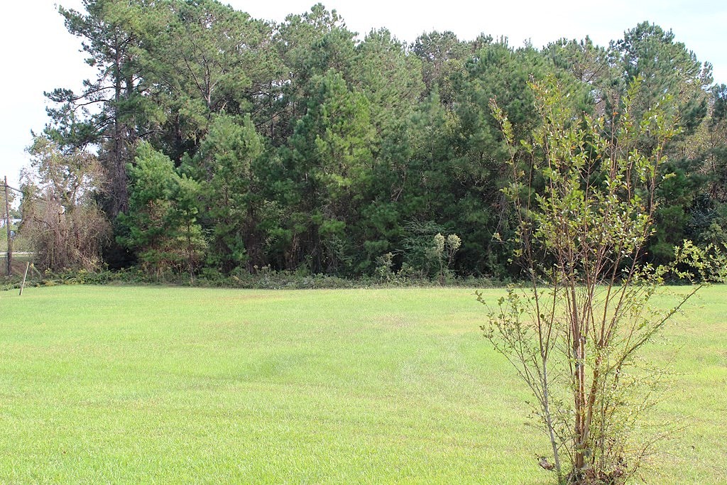 1575 Georgia Highway 37 West  