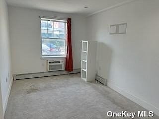 534 E 87TH ST Unit 1  