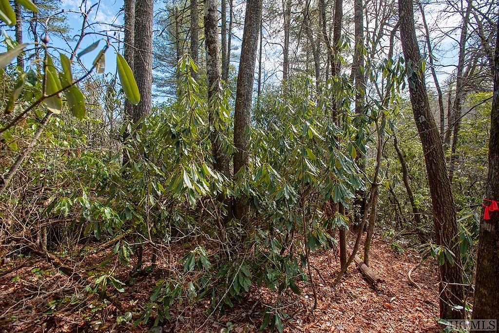 Lot 108R Rockhouse Fls Ln  