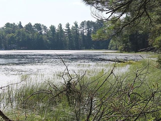 On BIRCH LAKE RD Unit Lot 1  