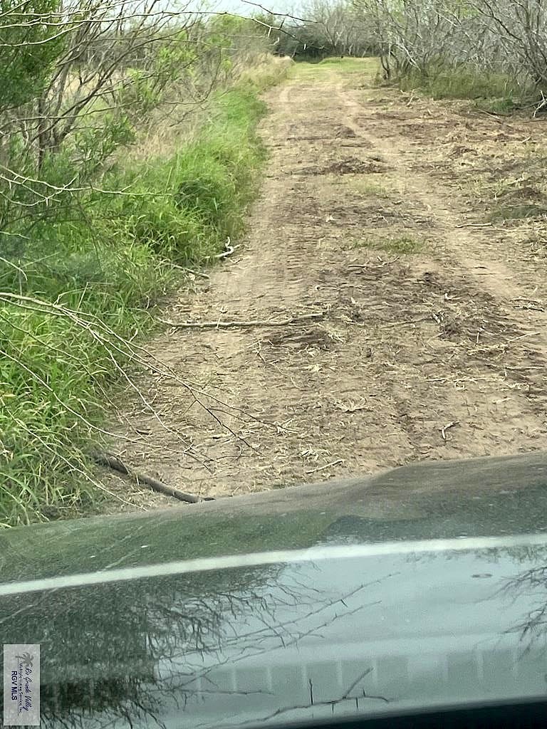 25 ACRES-- EL PRESENO RD