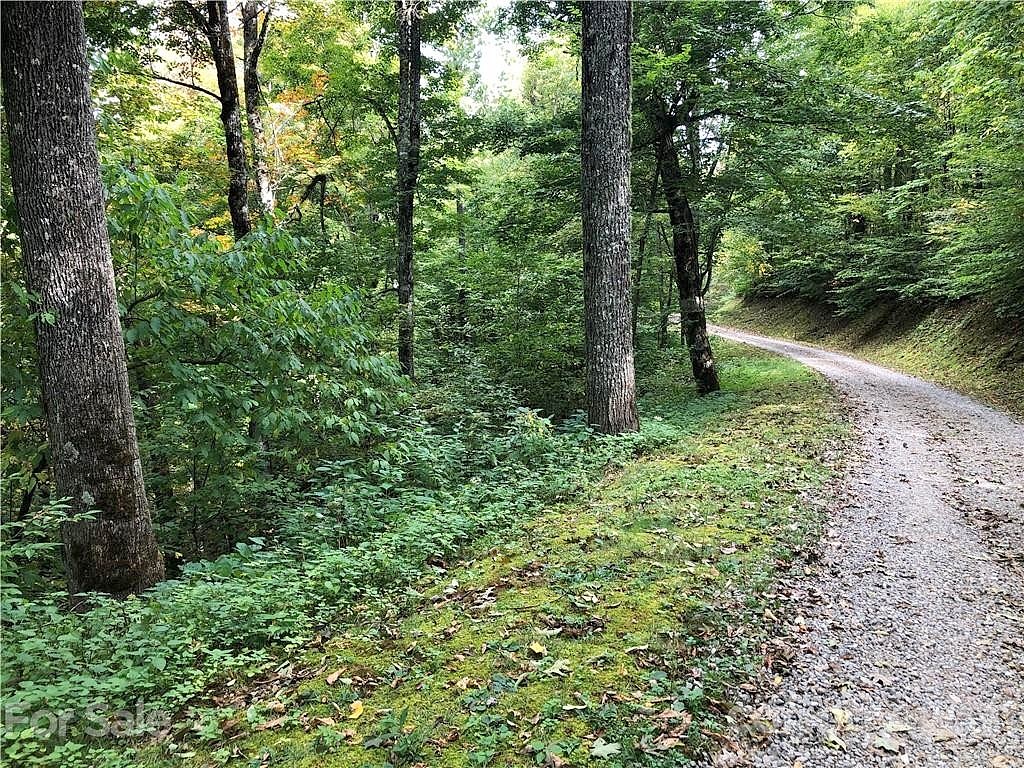 Lot 25 YOUNG BEAR Trl Unit 25  