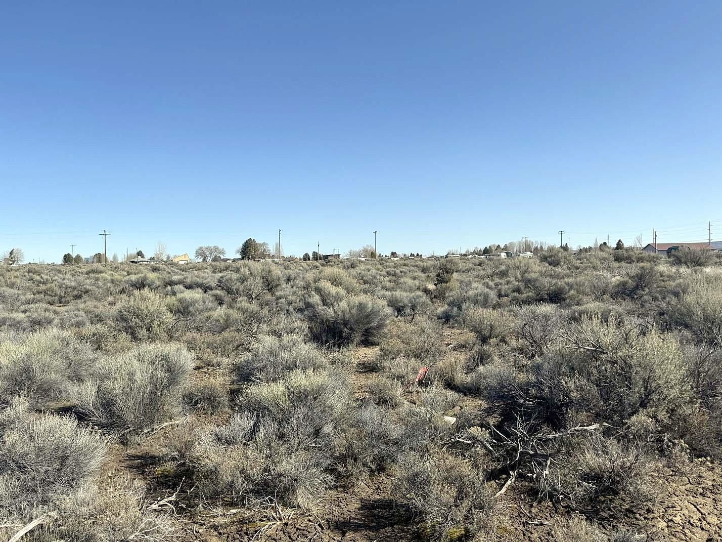 Larch Street Unit Lot 100  