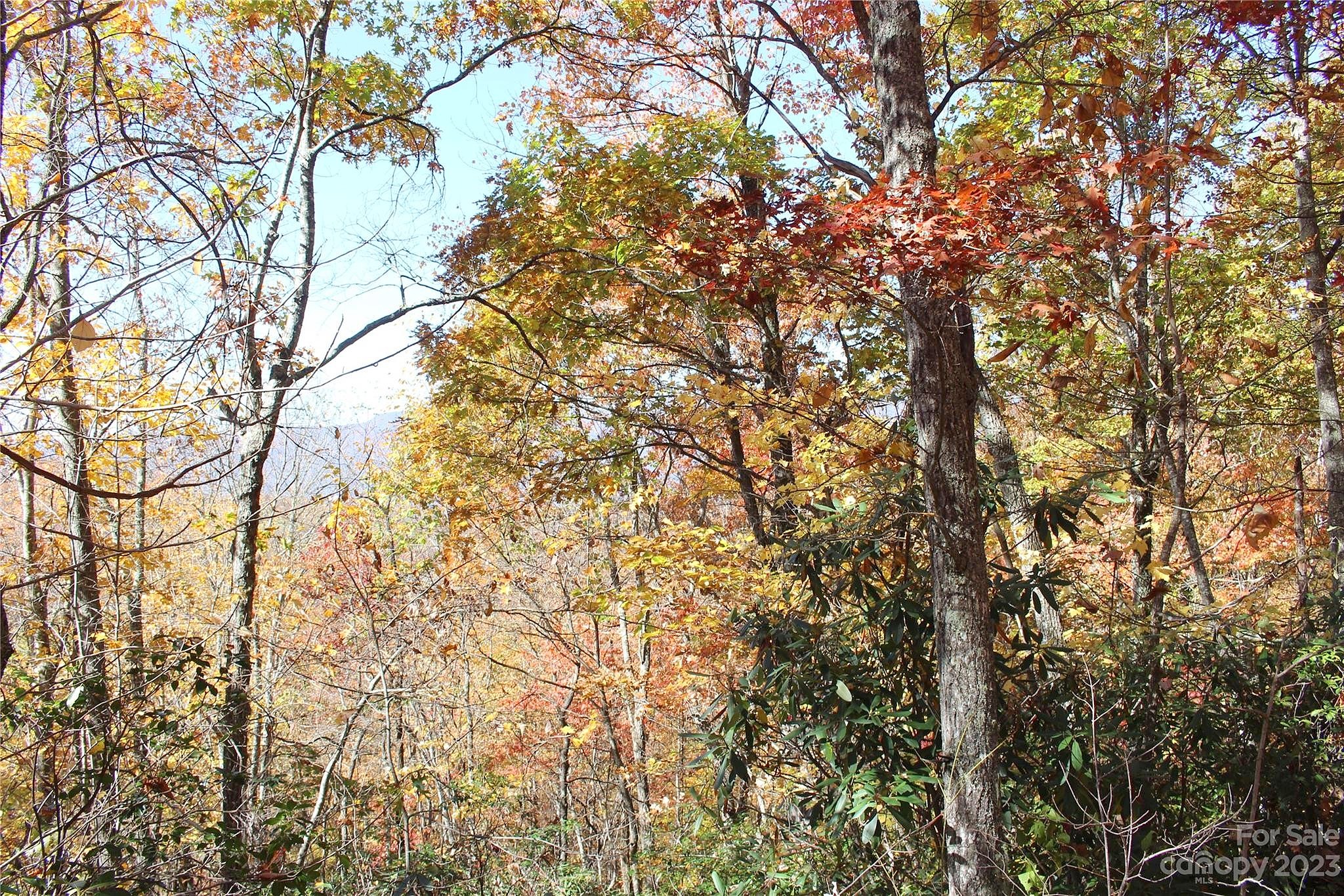 81 Boarding House Way Unit 92  