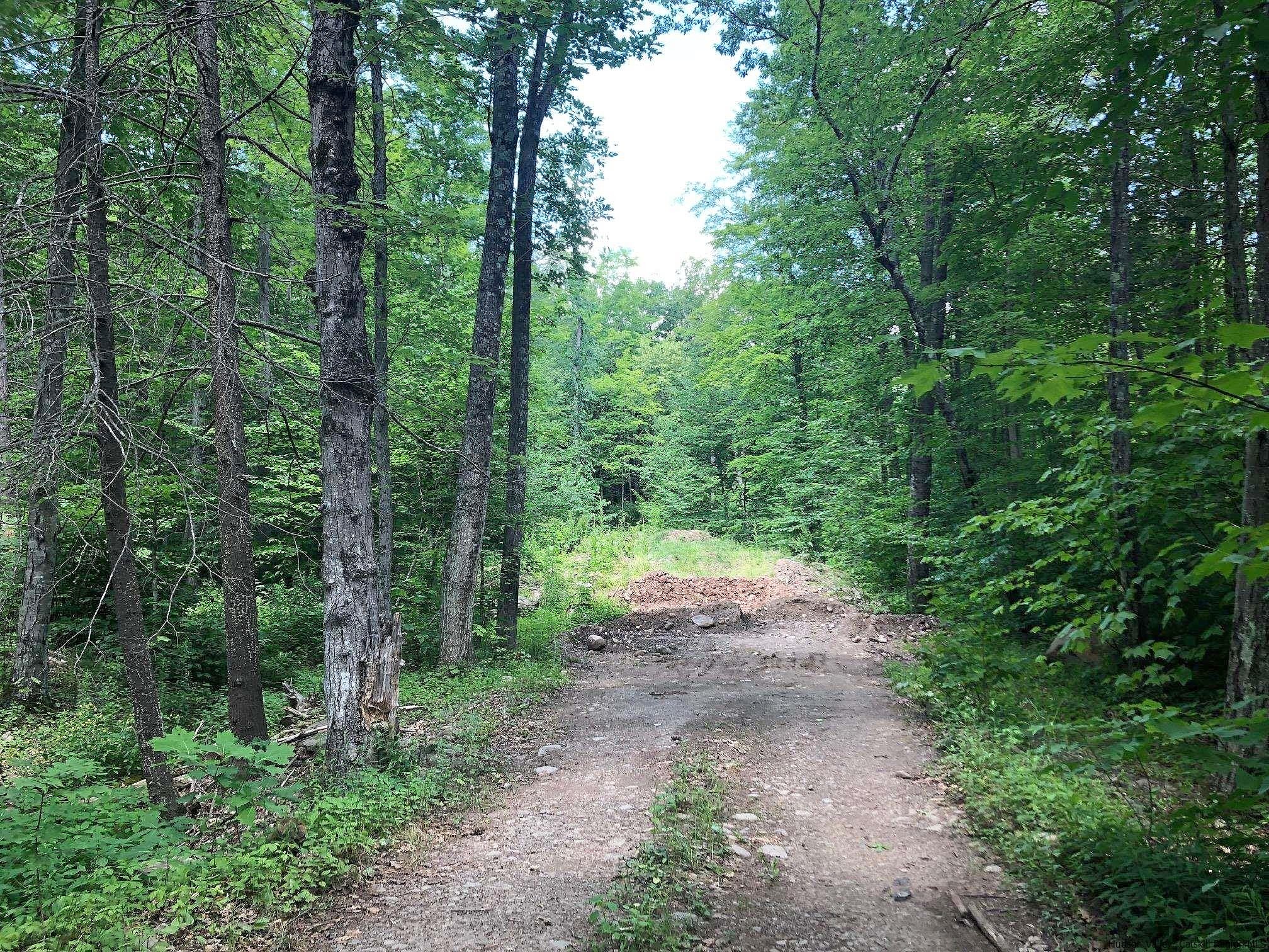 Lot 1 Emerson Ter