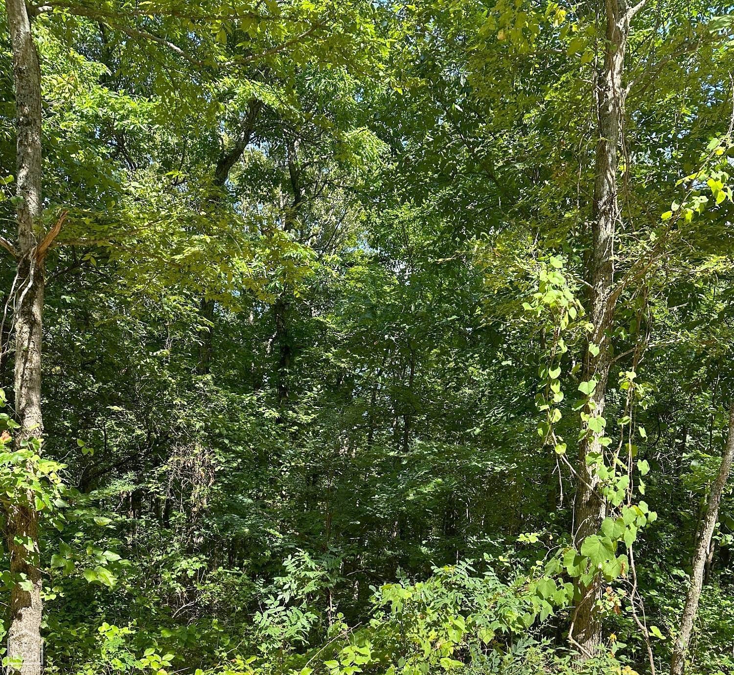 4 acres Heber Spgs Rd