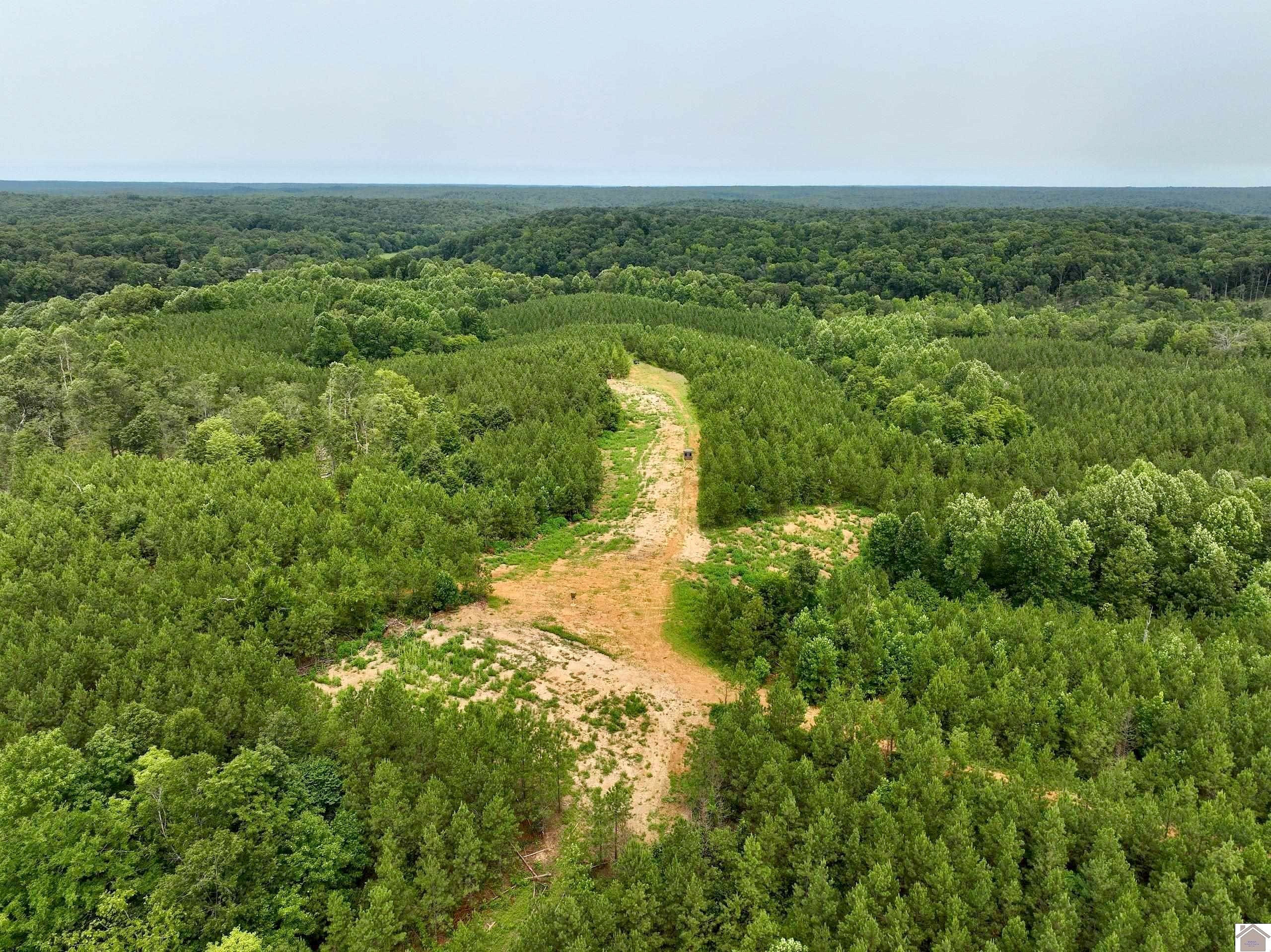 000 Atkins Cemetery Rd Unit (Trigg Co KY 184)  