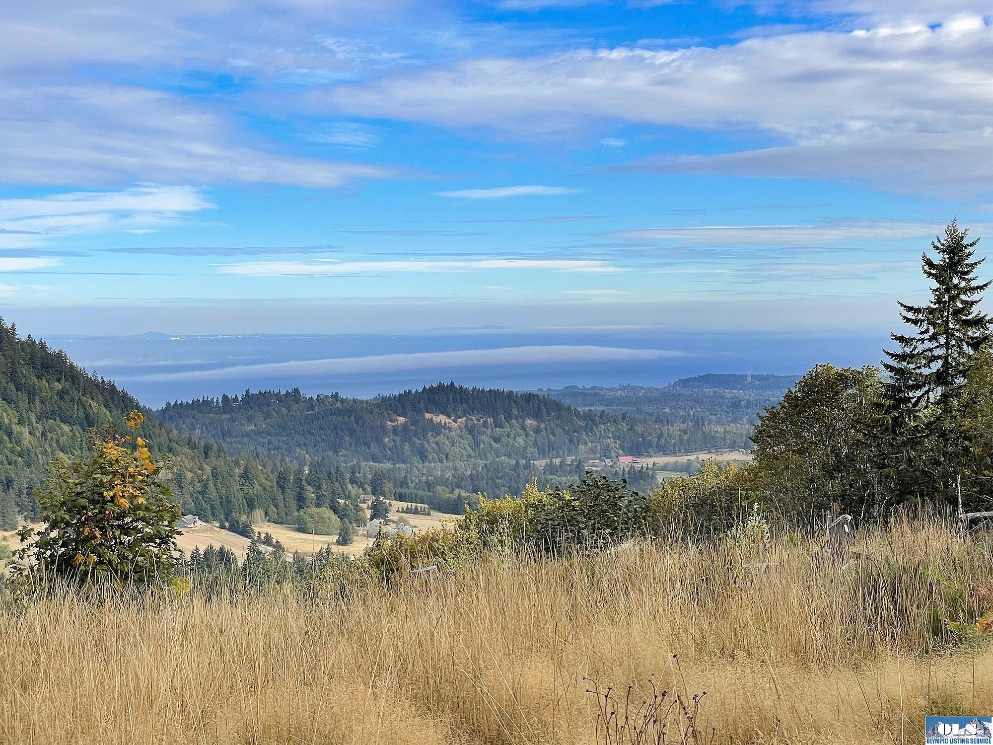 28993 Dan Kelly Rd Unit Parcel 3