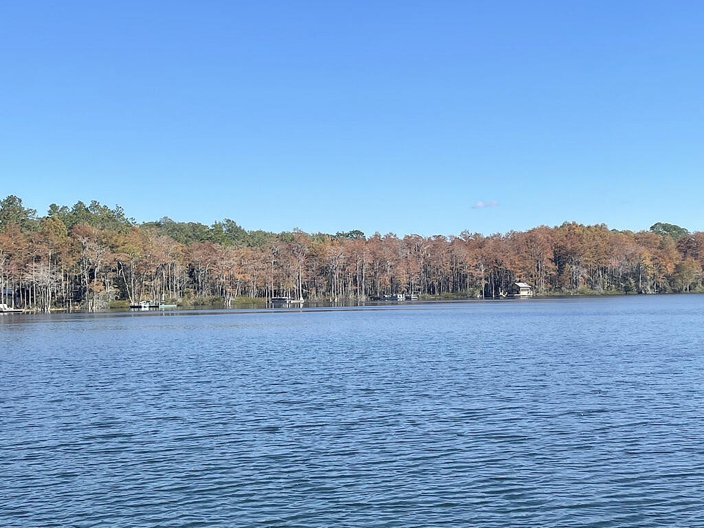 LOT 41 Blue Pond Ln  