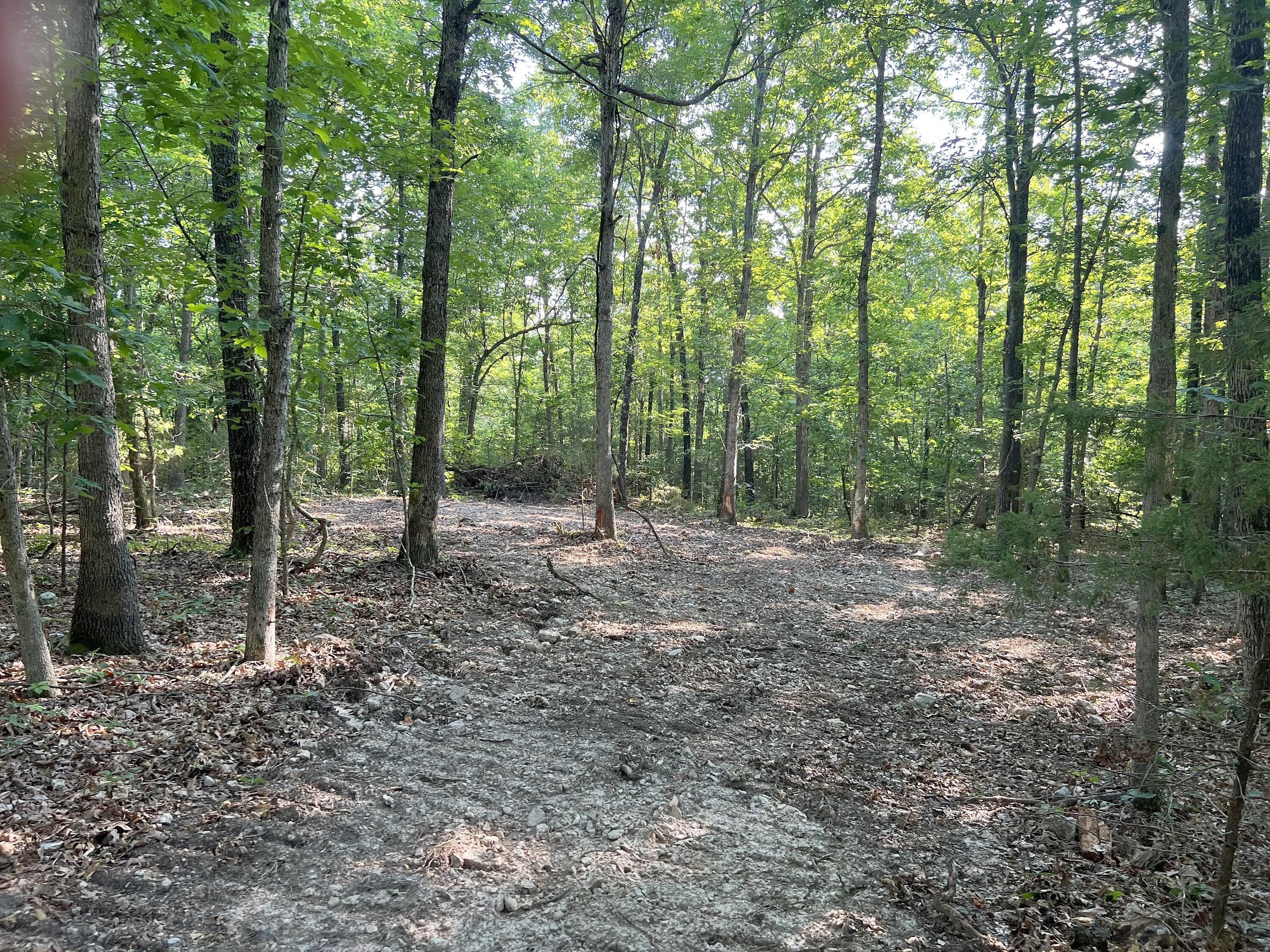 2381 County Road 359 Unit Lot 8