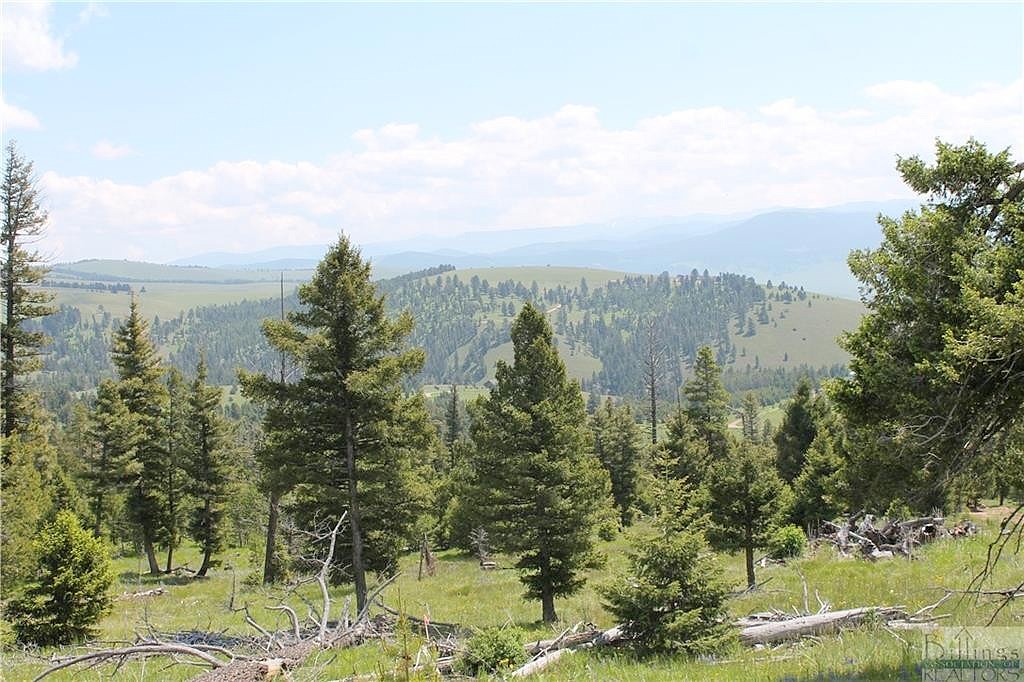 24 Moose Springs Trl 15A  