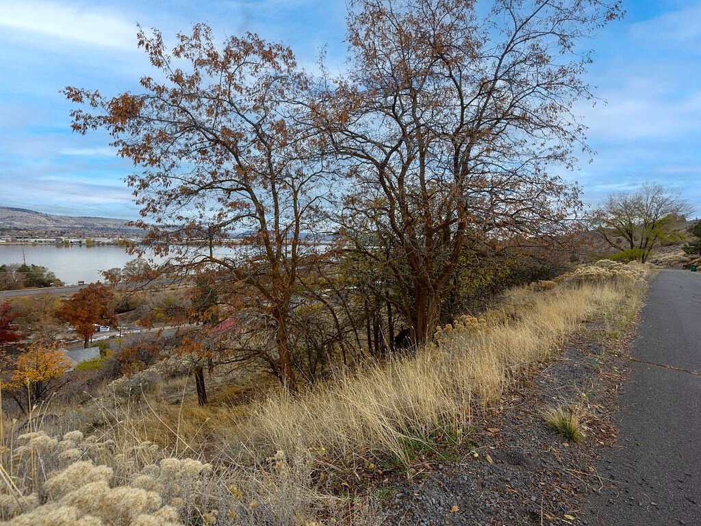 325 Lewis St Unit 17