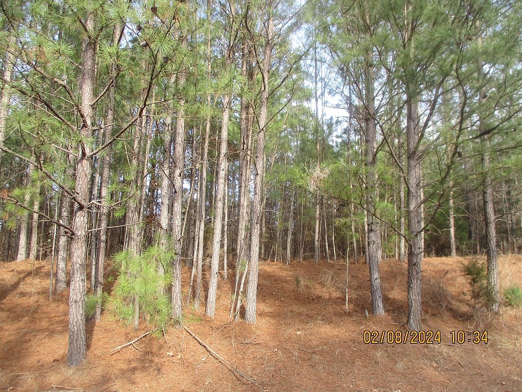 105 Lot 32a  