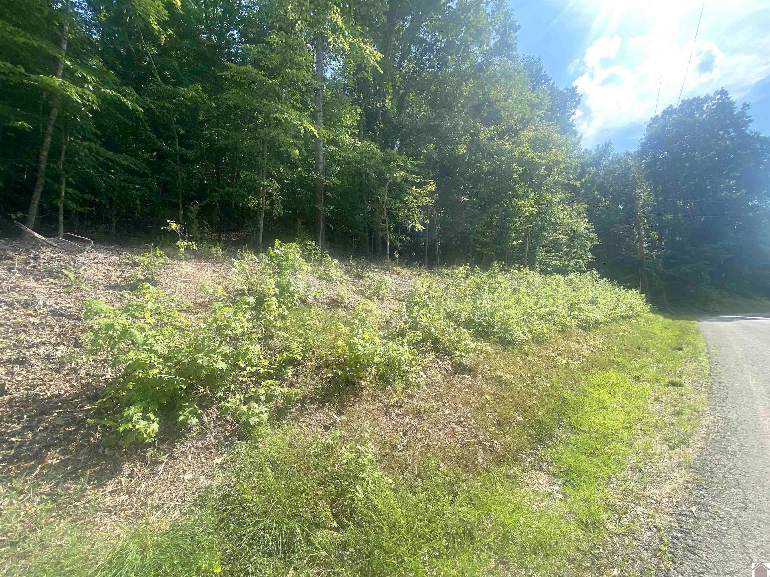 90 Canton Heights Circle II Unit Lots 111-114  