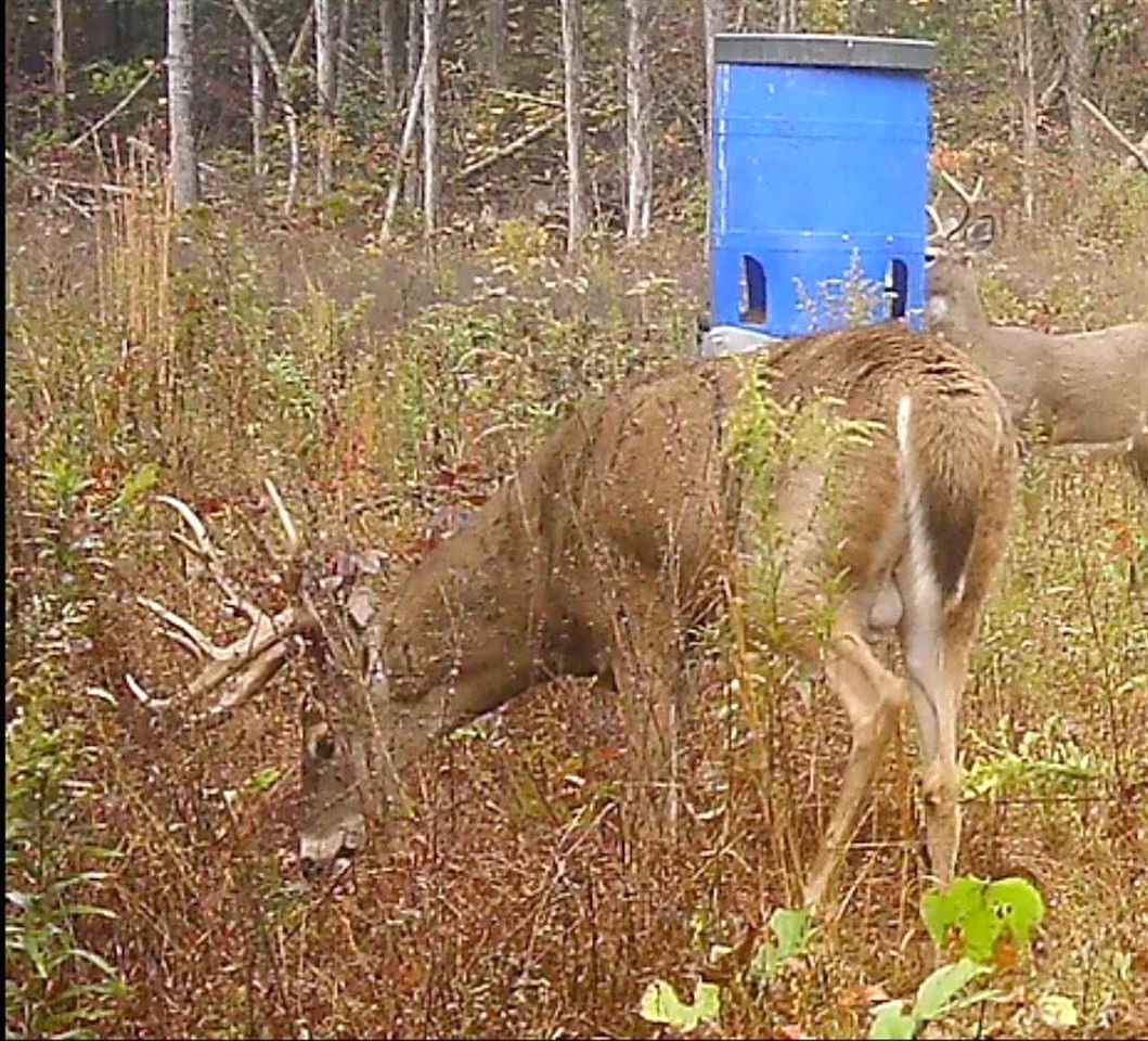 1069-4 George Tabb Rd