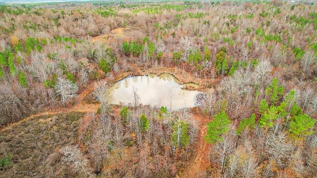 57 County Rd 351  