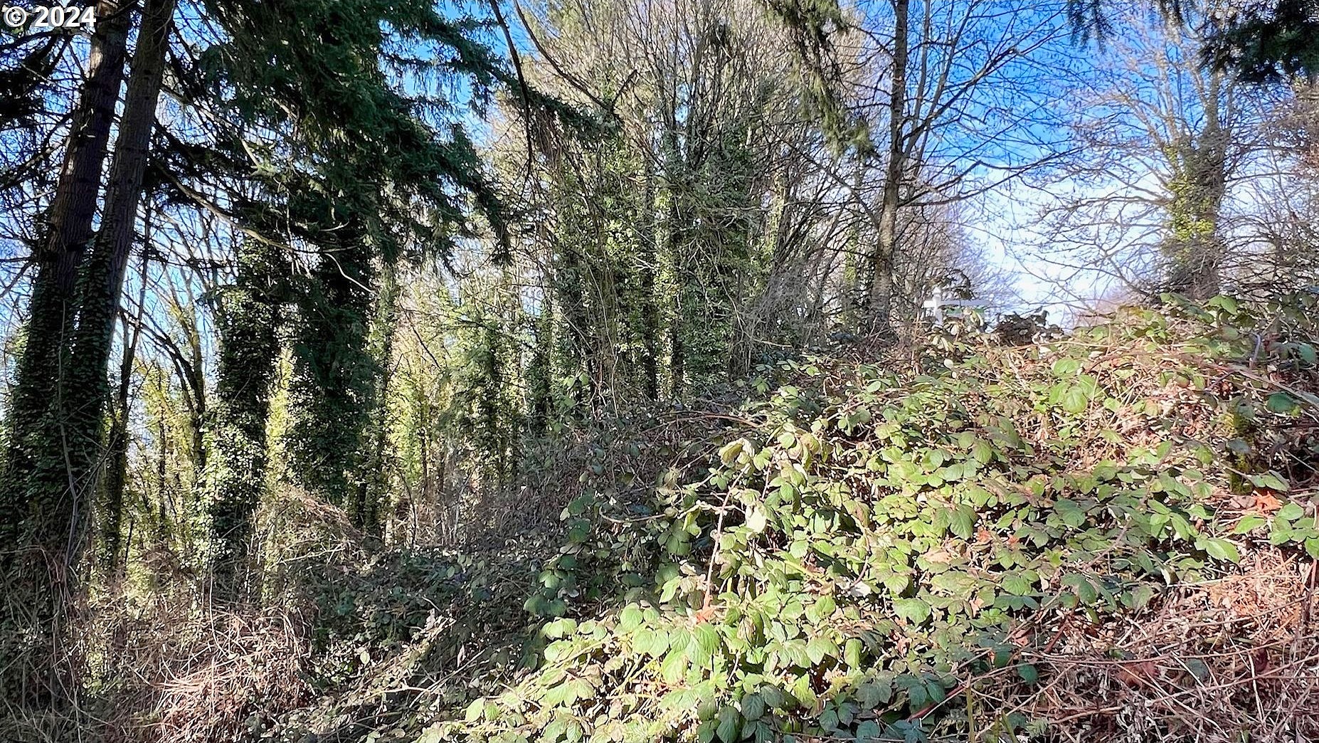 3145 NE ROCKY BUTTE RD Unit Lot 4