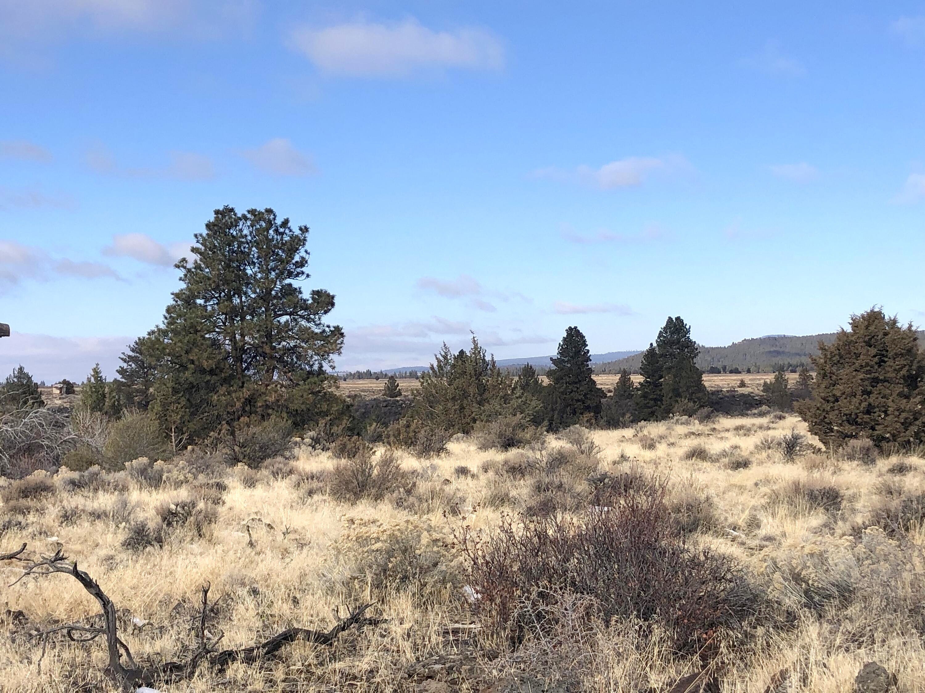 Okanogan Street Unit Lot 19  