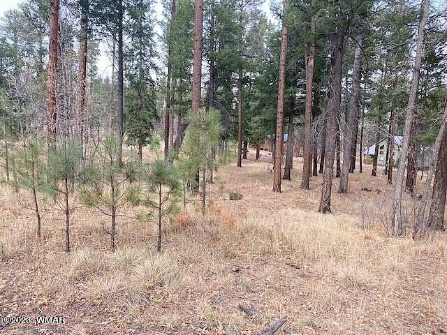 000 COUNTY ROAD 2196 Unit LOT 74 AFE  