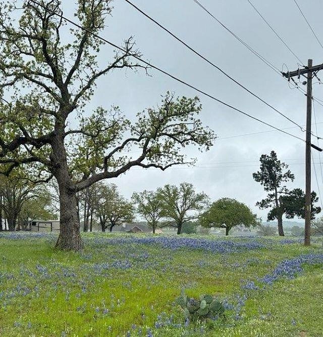 Lots 150 151A Woodlawn Dr  