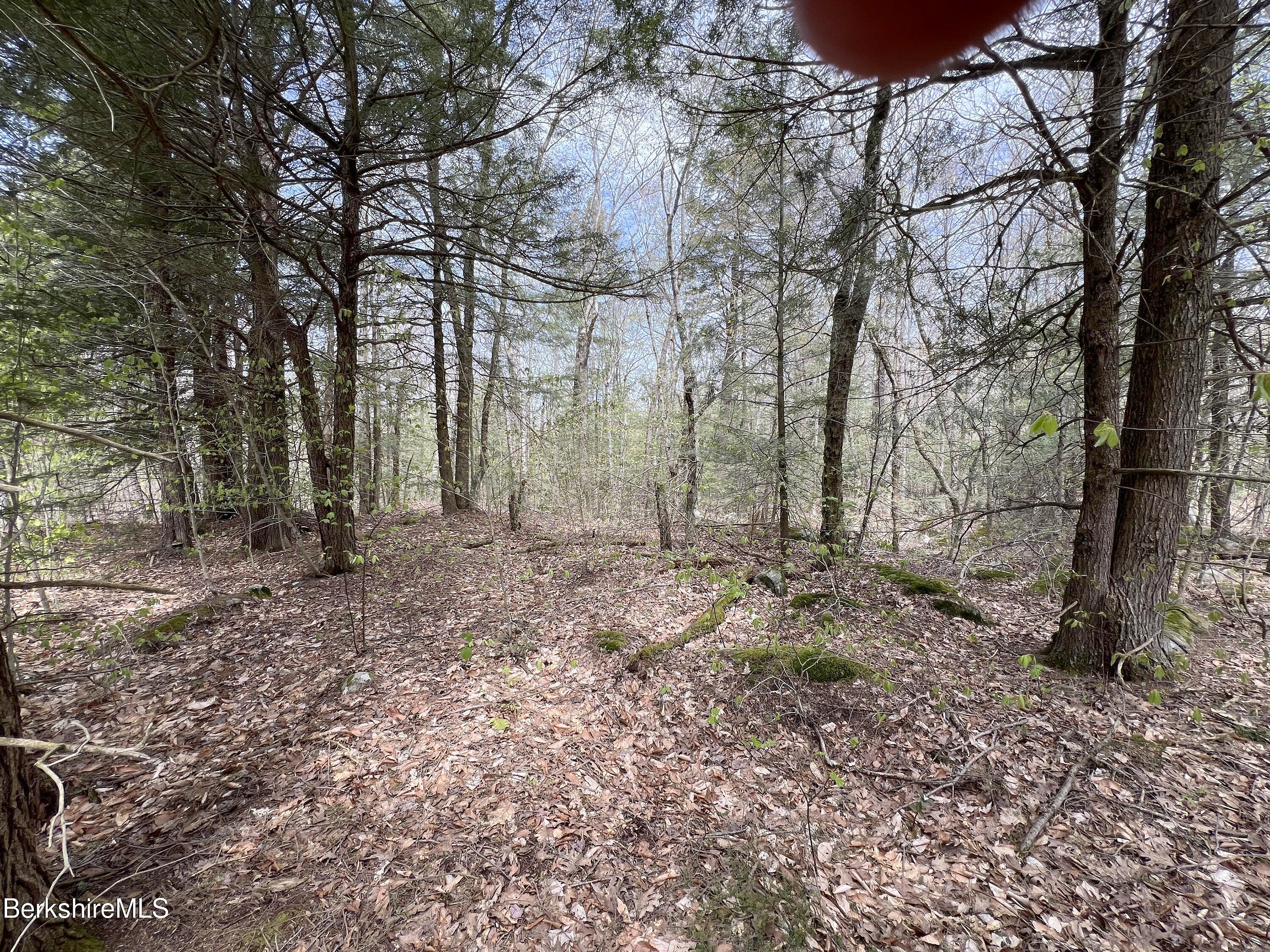 Lot19 Skyline Rdg Rd